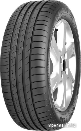 Шины Goodyear EfficientGrip Performance 205/55R15 88V — Летняя сезон в Гомеле