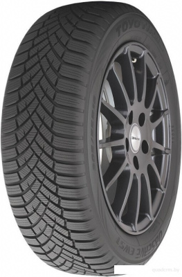 Toyo Observe EWS1 245/35R20 95W