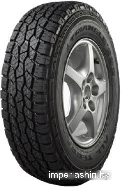 Автомобильная шина  Triangle TR292 265/70R16 117/114S