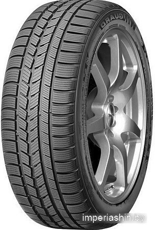 Шины Roadstone Winguard Sport 205/45R17 88V — Зимняя сезон в Гомеле