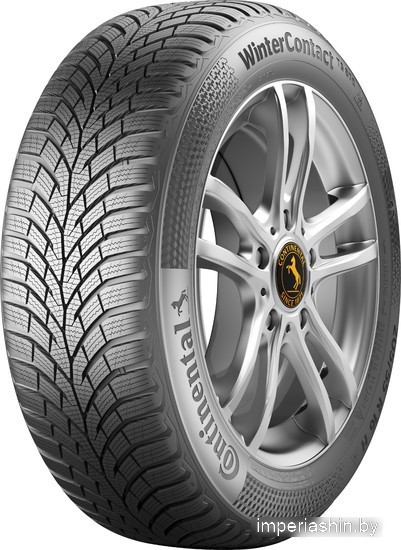 Шины Continental WinterContact TS 870 225/45R17 91H — Зимняя сезон в Гомеле