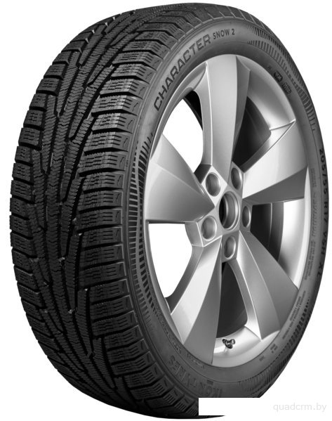 Ikon Character Snow 2 155/65R14 75R