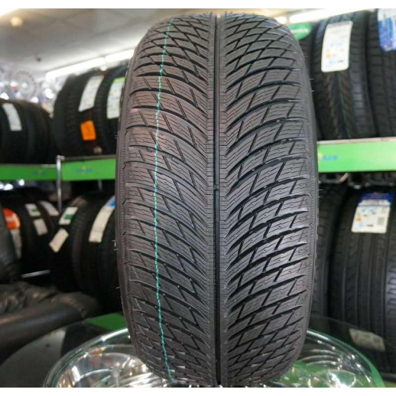 Шины Michelin Pilot Alpin 5 245/40R21 100V — Зимняя сезон в Гомеле
