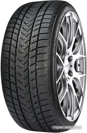 Gripmax SureGrip Pro Winter 295/30R19 100V