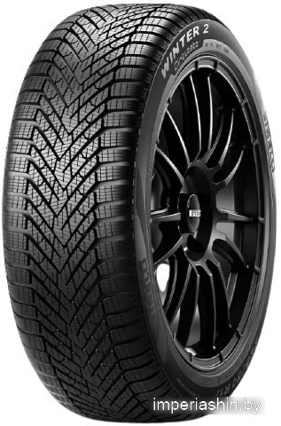 Автомобильная шина  Pirelli Cinturato Winter 2 205/55R17 95T