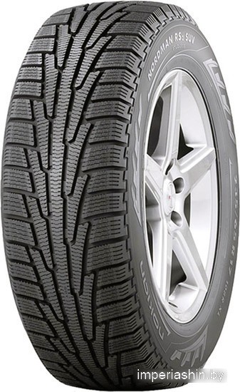 Автомобильная шина  Ikon Tyres Nordman RS2 205/55R16 94R