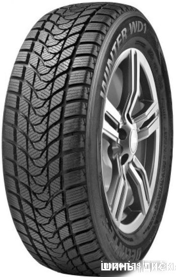Delinte Winter WD1 225/45R18 95H