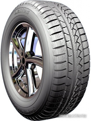Petlas SnowMaster W651 215/45R17 91V