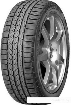 Roadstone Winguard Sport 215/50R17 95V