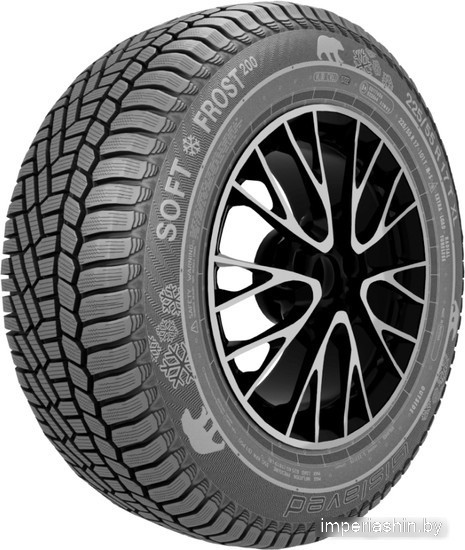 Автомобильная шина  Gislaved Nord Frost 200 ID 215/60R17 96T (с шипами)