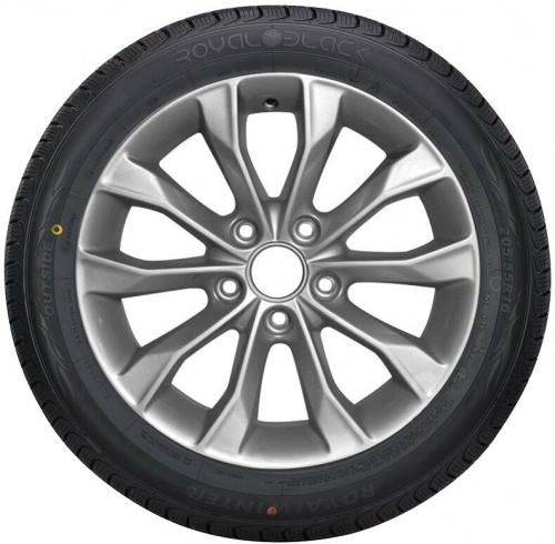 Royal Black Royal Winter 235/55R18 104HXL фото 1