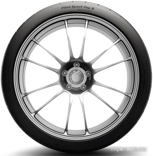 Michelin Pilot Sport Cup 2 Connect 295/30R20 101Y фото 2