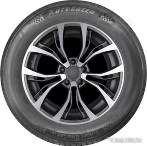 Autogreen Smart Chaser-SC1 205/65R15 94H фото 1