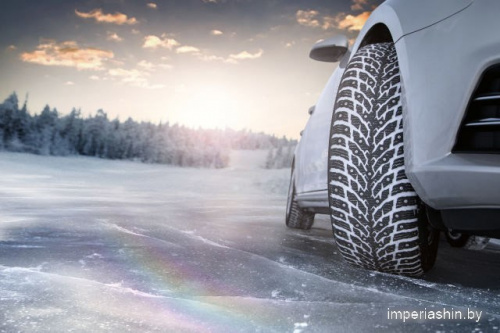 Nokian Tyres Hakkapeliitta 9 225/55R17 101T (шипы) фото 2