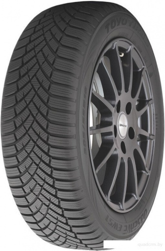 Toyo Observe EWS1 245/35R20 95W