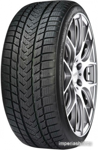 Gripmax SureGrip Pro Winter 295/30R19 100V