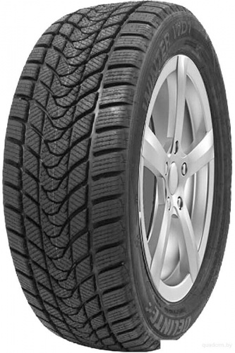 Delinte Winter WD1 225/55R17 97T