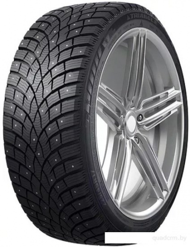 Triangle IcelynX TI501 275/40R20 106T