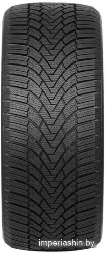 Arivo Winmaster ProX ARW3 195/65R15 95T XL фото 1