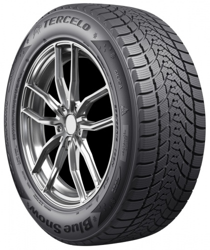 Tercelo Blue Snow 205/55R16 91V фото 1