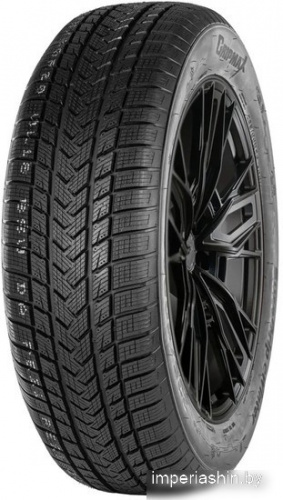 Gripmax SureGrip eWinter 215/65R17 103V