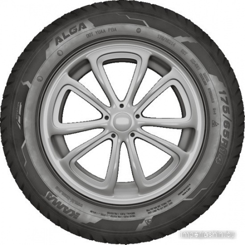 KAMA ALGA (HK-531) 185/70R14 88T с шипами фото 2
