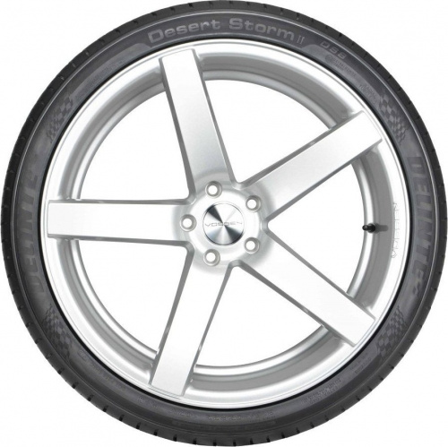 Delinte DS8 255/30R20 92W
