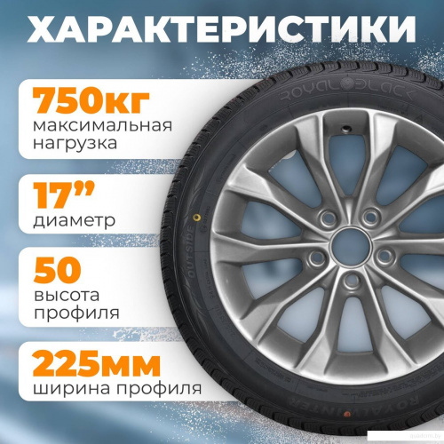 Royal Black Royal Winter 245/60R18 105H фото 2