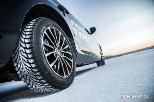 Nokian Tyres Hakkapeliitta 9 225/55R17 101T (шипы) фото 1
