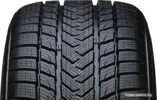 Gripmax SureGrip Pro Winter 295/30R19 100V фото 1